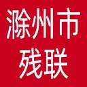 滁州市残联网站图标