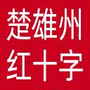 楚雄州红十字会网站图标