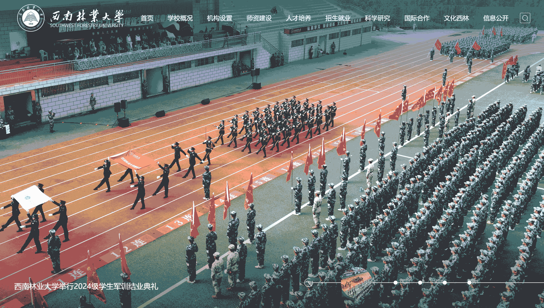 点击查看西南林业大学网站首屏快照大图 西南林业大学网站首屏快照
