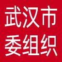 中共武汉市委组织部网站图标