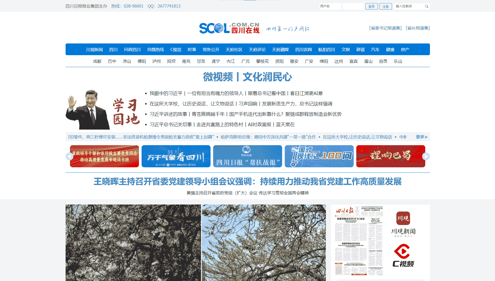 四川在线网站首屏快照