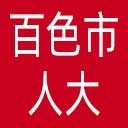 百色市人大网站图标
