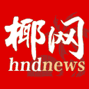 椰网网站图标
