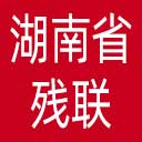 湖南省残联网站图标