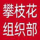 中共攀枝花市委组织部网站图标