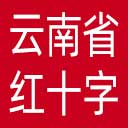 云南省红十字会网站图标