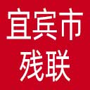 宜宾市残联网站图标