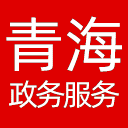 青海政务服务网网站图标