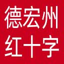 德宏州红十字会网站图标