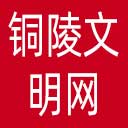 铜陵文明网网站图标