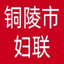 铜陵市妇联网站图标