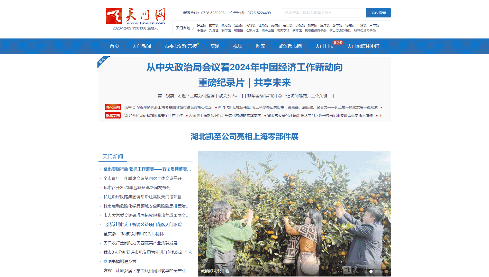 天门网网站首屏快照