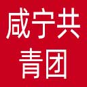 咸宁共青团网站图标