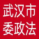 中共武汉市委政法委网站图标