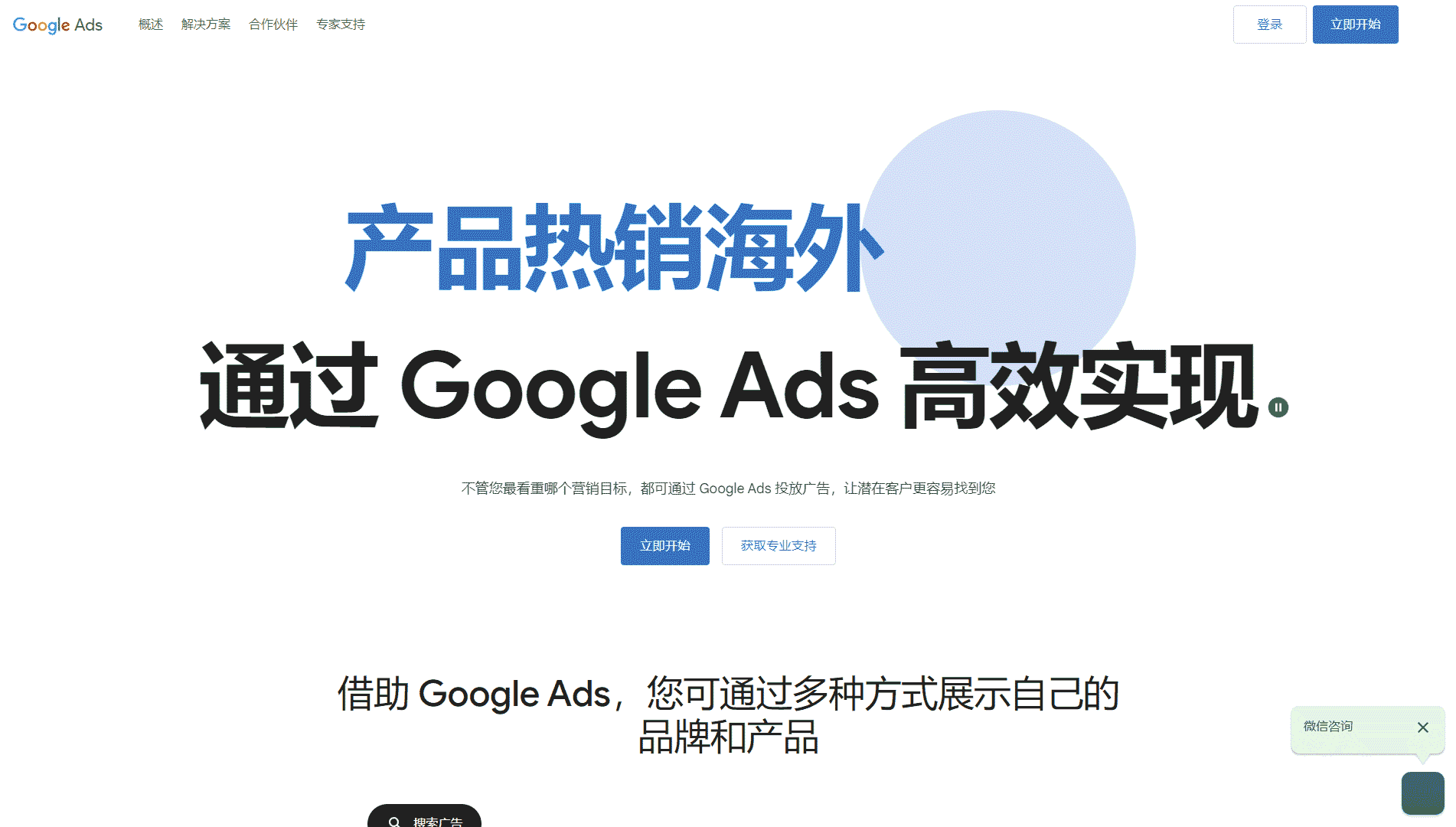 Google Ads中文网网站首屏快照