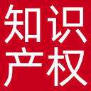 国家知识产权局网站图标