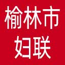 榆林市妇联网站图标