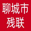 聊城市残联网站图标