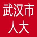武汉市人大网站图标