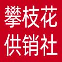 攀枝花市供销社网站图标