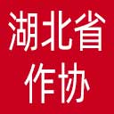 湖北省作协网站图标