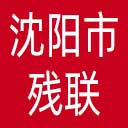 沈阳市残联网站图标