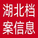 湖北档案信息网网站图标