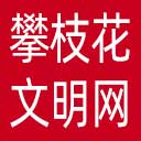 攀枝花文明网网站图标