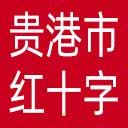 贵港市红十字会网站图标