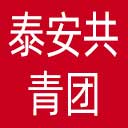 泰安共青团网站图标