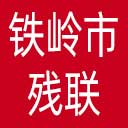 铁岭市残联网站图标
