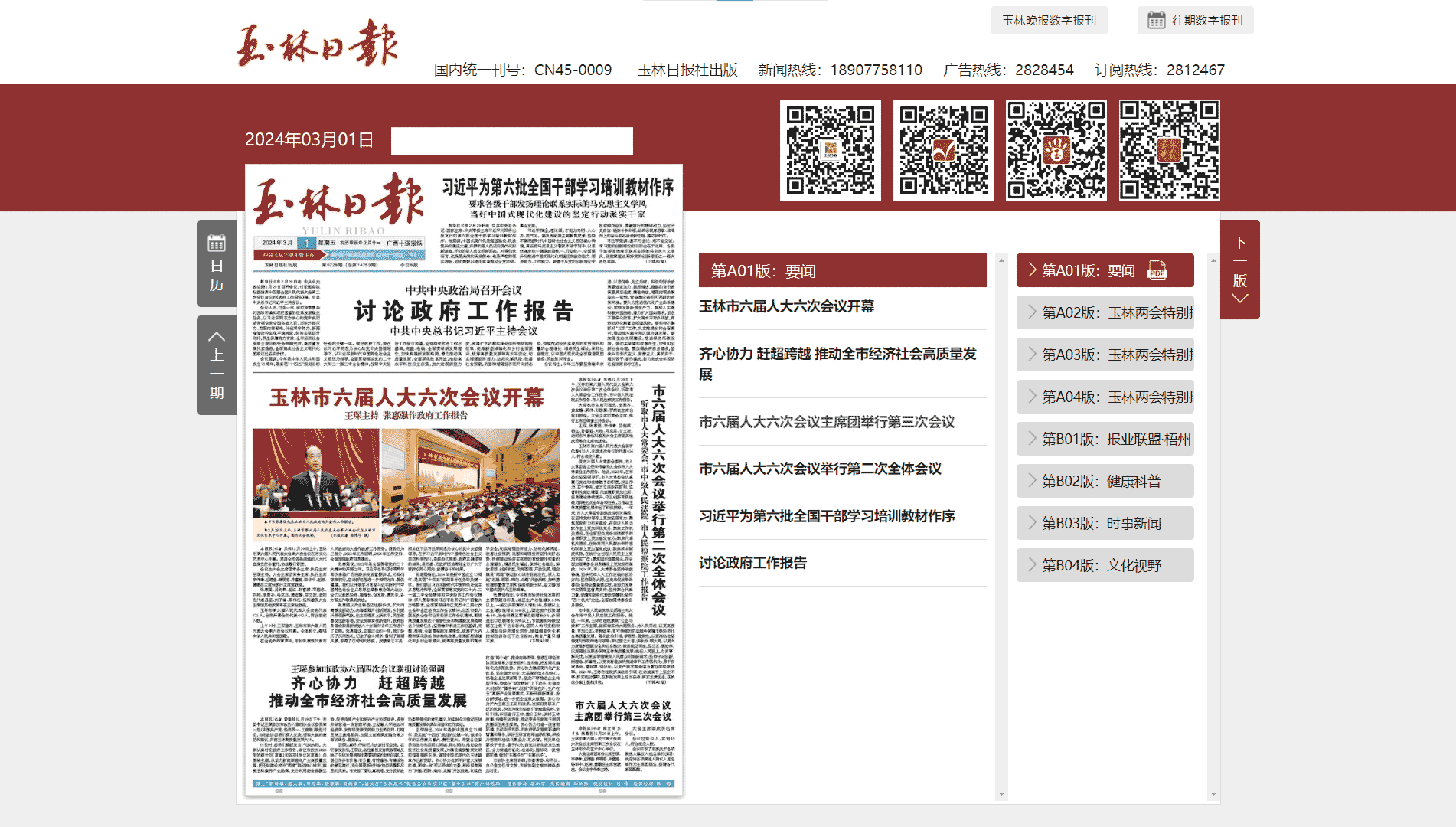 玉林日报网站首屏快照