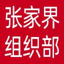 中共张家界市委组织部网站图标