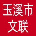 玉溪市文联网站图标