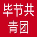 毕节共青团网站图标