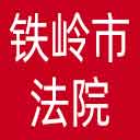 铁岭市法院网站图标