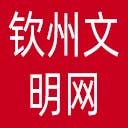 钦州文明网网站图标