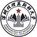深圳北理莫斯科大学网站图标