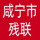 咸宁市残联网站图标