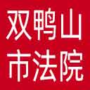 双鸭山市法院网站图标