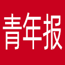 青年报网站图标