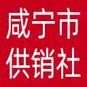 咸宁市供销社网站图标