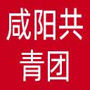 咸阳共青团网站图标