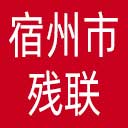 宿州市残联网站图标