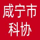 咸宁市科协网站图标