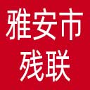 雅安市残联网站图标