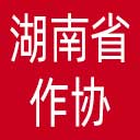 湖南省作协网站图标