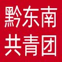 黔东南共青团网站图标