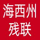 海西州残联网站图标