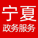 宁夏政务服务网网站图标